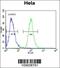 PKB beta antibody, 62-605, ProSci, Flow Cytometry image 