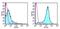 CD69 Molecule antibody, 15-0691-82, Invitrogen Antibodies, Flow Cytometry image 