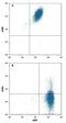 C-C Motif Chemokine Receptor 9 antibody, MAB8287, R&D Systems, Flow Cytometry image 