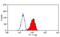 Cytochrome B-245 Beta Chain antibody, GTX41565, GeneTex, Flow Cytometry image 