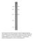 Cholinergic Receptor Nicotinic Alpha 7 Subunit antibody, NACR-101AP, FabGennix, Western Blot image 