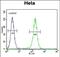 Leucyl-TRNA Synthetase antibody, PA5-71490, Invitrogen Antibodies, Flow Cytometry image 