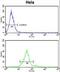 Polypeptide N-Acetylgalactosaminyltransferase 2 antibody, LS-C166354, Lifespan Biosciences, Flow Cytometry image 