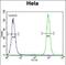 Slingshot Protein Phosphatase 3 antibody, PA5-35067, Invitrogen Antibodies, Flow Cytometry image 