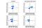 Lymphocyte Cytosolic Protein 2 antibody, 61762S, Cell Signaling Technology, Flow Cytometry image 