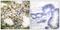 Histone Deacetylase 6 antibody, PA5-38103, Invitrogen Antibodies, Immunohistochemistry paraffin image 