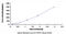 Fibroblast Growth Factor 21 antibody, MBS2021876, MyBioSource, Enzyme Linked Immunosorbent Assay image 