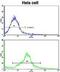 CAMP Responsive Element Binding Protein 3 Like 1 antibody, abx032888, Abbexa, Flow Cytometry image 