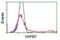 Heat Shock Protein Family B (Small) Member 7 antibody, NBP2-02666, Novus Biologicals, Flow Cytometry image 