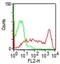 CD45RO antibody, NBP2-33104, Novus Biologicals, Flow Cytometry image 