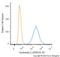 Keratin 8 antibody, NBP2-34417PE, Novus Biologicals, Flow Cytometry image 