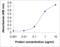 Transferrin antibody, XW-7632, ProSci, Enzyme Linked Immunosorbent Assay image 