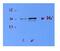 Fli-1 Proto-Oncogene, ETS Transcription Factor antibody, 28-789, ProSci, Enzyme Linked Immunosorbent Assay image 