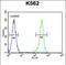 WRN RecQ Like Helicase antibody, PA5-35103, Invitrogen Antibodies, Flow Cytometry image 