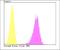 Calcium Voltage-Gated Channel Auxiliary Subunit Gamma 4 antibody, NBP2-76920, Novus Biologicals, Flow Cytometry image 