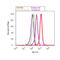 Oligodendrocyte Myelin Glycoprotein antibody, 720194, Invitrogen Antibodies, Flow Cytometry image 