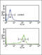 DExD-Box Helicase 39B antibody, LS-C156747, Lifespan Biosciences, Flow Cytometry image 