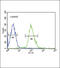 Tubulin Beta 3 Class III antibody, 62-035, ProSci, Immunofluorescence image 