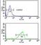 Interleukin 5 Receptor Subunit Alpha antibody, PA5-25159, Invitrogen Antibodies, Flow Cytometry image 