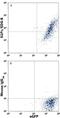 Sphingosine-1-Phosphate Receptor 5 antibody, FAB3964A, R&D Systems, Flow Cytometry image 