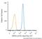 Heat Shock Protein 90 Alpha Family Class B Member 1 antibody, NB100-1972, Novus Biologicals, Flow Cytometry image 