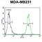 HERV-H LTR-Associating 2 antibody, abx025822, Abbexa, Western Blot image 