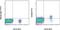 CD200 Molecule antibody, 11-9200-41, Invitrogen Antibodies, Flow Cytometry image 