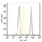 Acetylcholinesterase antibody, GTX22802, GeneTex, Flow Cytometry image 