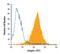 Integrin alpha V beta 3  antibody, FAB3050P, R&D Systems, Flow Cytometry image 