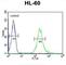 FKBP Prolyl Isomerase Like antibody, abx032423, Abbexa, Western Blot image 