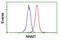 Nicotinamide N-Methyltransferase antibody, ab119758, Abcam, Flow Cytometry image 