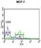 Centromere Protein N antibody, abx032341, Abbexa, Flow Cytometry image 