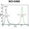 Protocadherin Alpha 9 antibody, abx026629, Abbexa, Western Blot image 