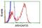 Rho GTPase Activating Protein 25 antibody, GTX84868, GeneTex, Flow Cytometry image 