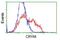 Crystallin Mu antibody, GTX84654, GeneTex, Flow Cytometry image 