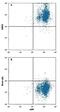 Solute Carrier Family 18 Member A2 antibody, MAB8327, R&D Systems, Flow Cytometry image 