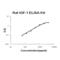 Insulin Like Growth Factor 1 antibody, EK0377-HA, Boster Biological Technology, Enzyme Linked Immunosorbent Assay image 