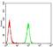 Emerin antibody, NBP2-52460, Novus Biologicals, Flow Cytometry image 