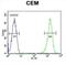 Reticulocalbin 3 antibody, abx032616, Abbexa, Flow Cytometry image 