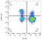 CD200 Molecule antibody, LS-C204832, Lifespan Biosciences, Flow Cytometry image 