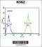 Purine Rich Element Binding Protein G antibody, 55-290, ProSci, Flow Cytometry image 