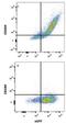 Transmembrane And Immunoglobulin Domain Containing 2 antibody, MAB83161, Novus Biologicals, Flow Cytometry image 