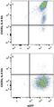 C-X-C Motif Chemokine Receptor 1 antibody, MAB8628, R&D Systems, Flow Cytometry image 