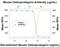 TNF Receptor Superfamily Member 11b antibody, AF459, R&D Systems, Western Blot image 