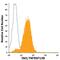 TNF Receptor Superfamily Member 13B antibody, FAB1741P, R&D Systems, Flow Cytometry image 