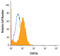 Signal Transducer And Activator Of Transcription 5B antibody, AF1584, R&D Systems, Flow Cytometry image 