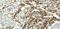Dicer 1, Ribonuclease III antibody, NBP1-71691, Novus Biologicals, Immunohistochemistry paraffin image 