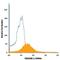 Carcinoembryonic Antigen Related Cell Adhesion Molecule 1 antibody, FAB2244A, R&D Systems, Flow Cytometry image 