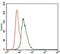 Vav Guanine Nucleotide Exchange Factor 1 antibody, NBP2-37469, Novus Biologicals, Flow Cytometry image 