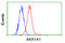 Aldo-Keto Reductase Family 1 Member A1 antibody, GTX84912, GeneTex, Flow Cytometry image 